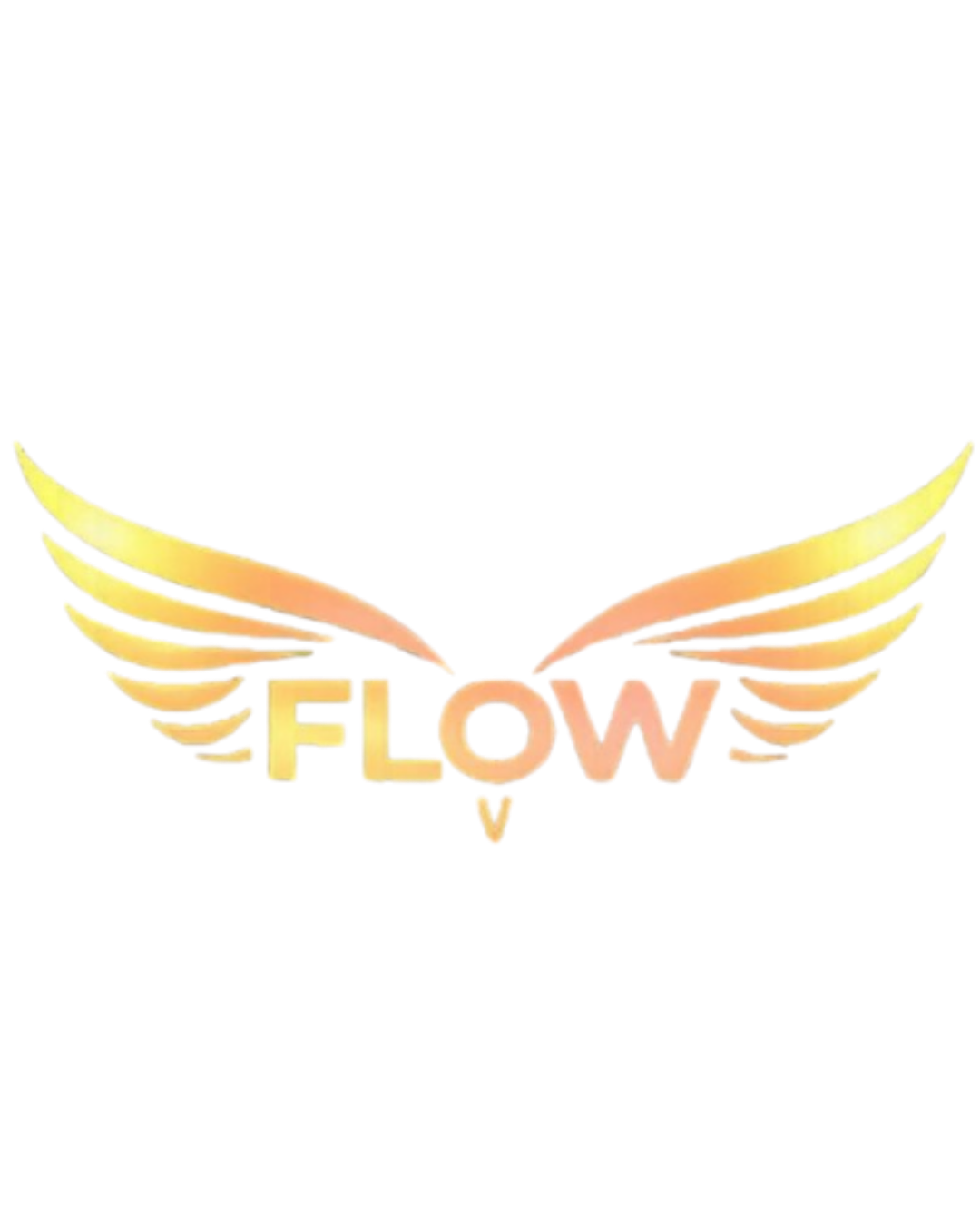 Flow Fest